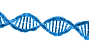DNA testy Ostrava